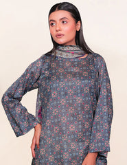 Slate Grey & Geometric Ethnic Nenokara Premium Lawn 3 PCs Unstitched