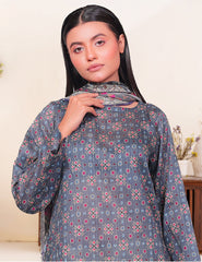Slate Grey & Geometric Ethnic Nenokara Premium Lawn 3 PCs Unstitched